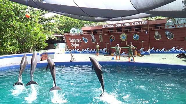 Batang Dolphin Center