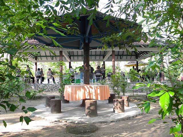 Monumen Hutan Jati Alam