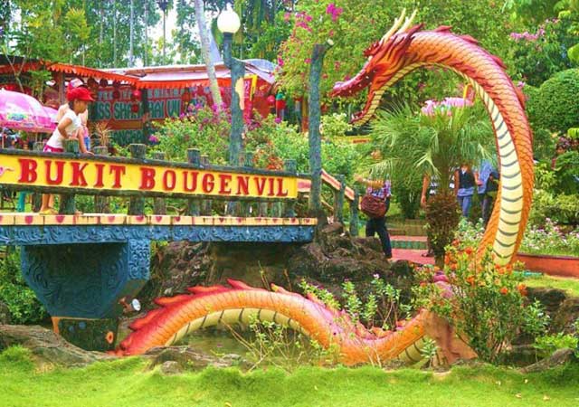 Taman Bougenville Singkawang